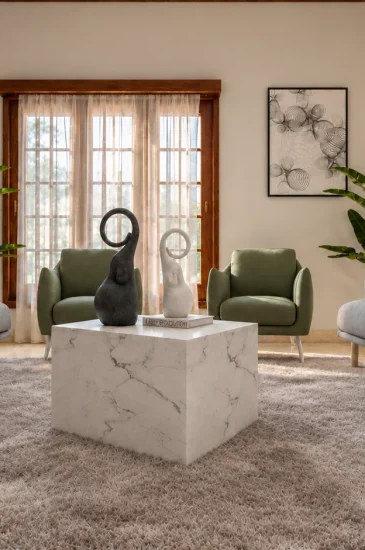 Modern living room interior design for the Manjunanth project, with two grey sofas, a central coffee table and indoor plants